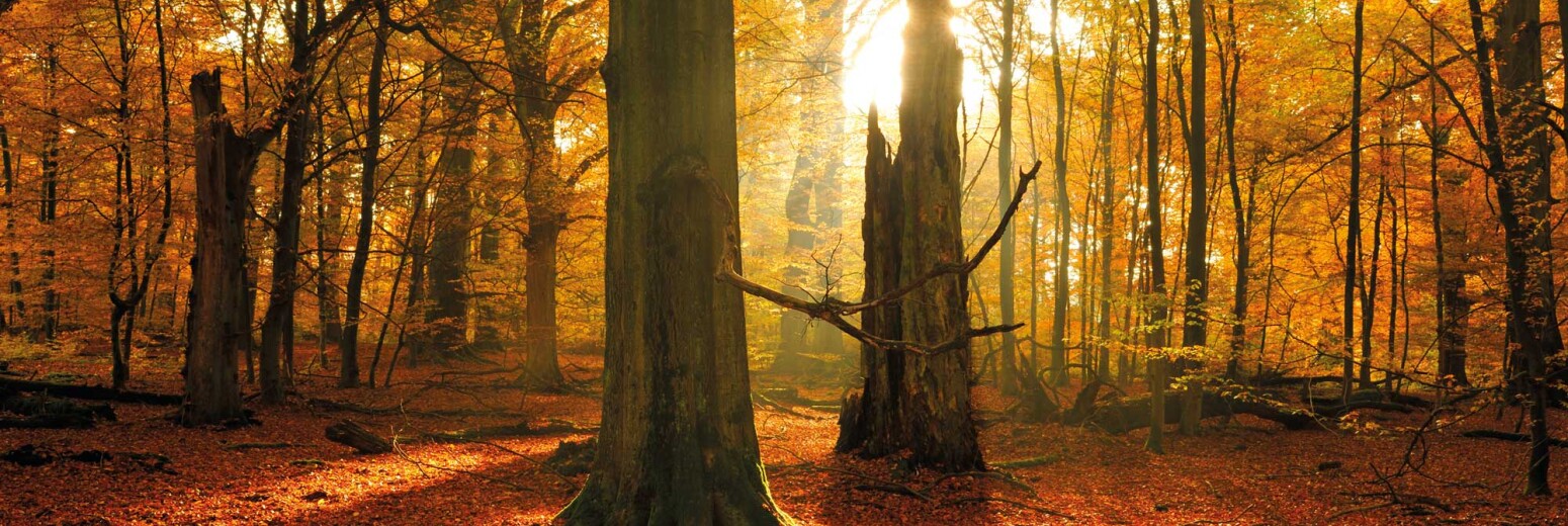 Finance Shop Quarterly Review Autumn image