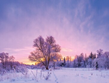 Finance Shop Quarterly Review Winter 2018 downsaved 4