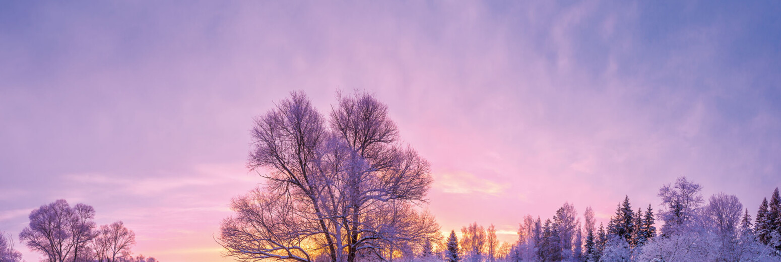 QR Winter Image5